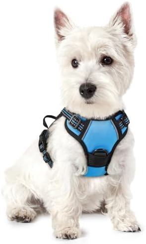 rabbitgoo Dog Harness, No Pull for Small Dogs by rabbitgoo