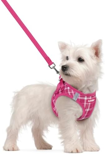 rabbitgoo Dog Harness Small Sized and Leash Set, Step-in Puppy Pet Vest by rabbitgoo