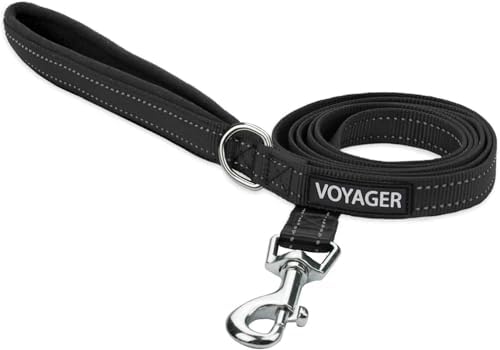 Best Pet Supplies Voyager Nylon Dog Leash by BestPetSuppliesLLC