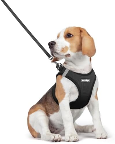rabbitgoo Dog Harness Medium Sized and Leash Set, Step-in Puppy Pet Vest by rabbitgoo