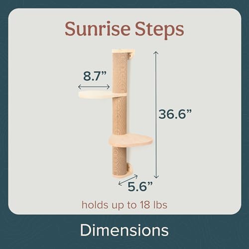 Cat Climbing Wall System – Modern Floating Shelves & Perches - Image 2