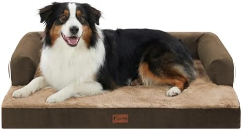 Orthopedic Washable Dog Bed for Medium Dogs by CasaPaw