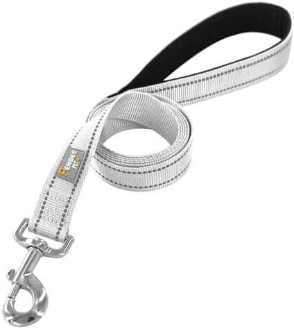6 FT Basic Dog Leash for Medium Dogs - Image 2
