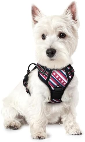 rabbitgoo Dog Harness, No Pull for Small Dogs by rabbitgoo