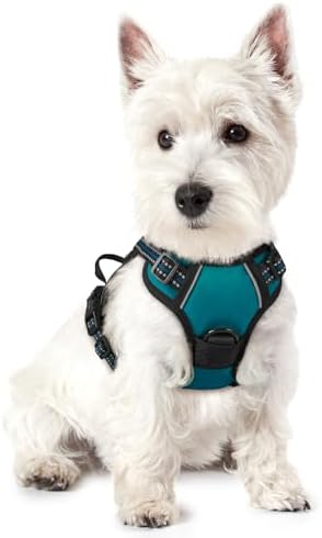 rabbitgoo Dog Harness, No Pull for Small Dogs by rabbitgoo