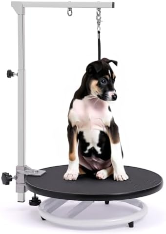 Dog Grooming Table for Dogs At-Home by Phenfor