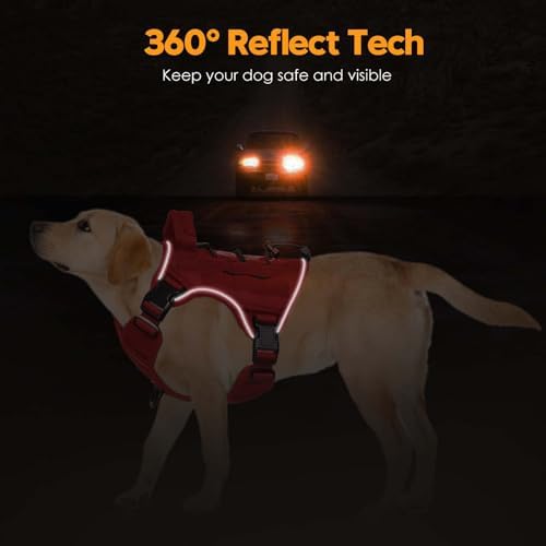 Heavy-Duty Tactical Dog Harness - Image 5