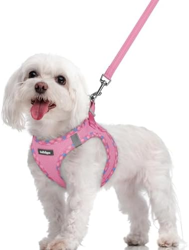 rabbitgoo Dog Harness Medium Sized and Leash Set, Step-in Puppy Pet Vest by rabbitgoo