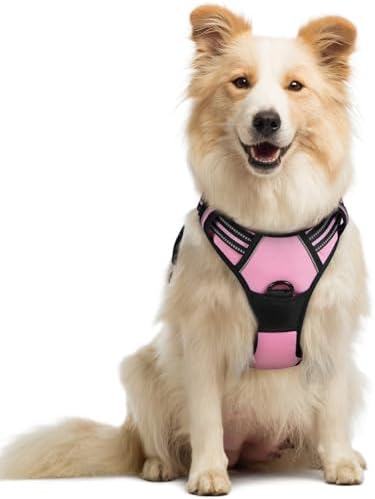 rabbitgoo Dog Harness, No Pull Medium Sized by rabbitgoo