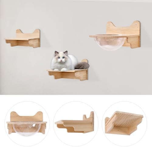 Space Capsule Style Transparent Cover Cat Bed, Wall Mounted Cats Shelf House - Image 4
