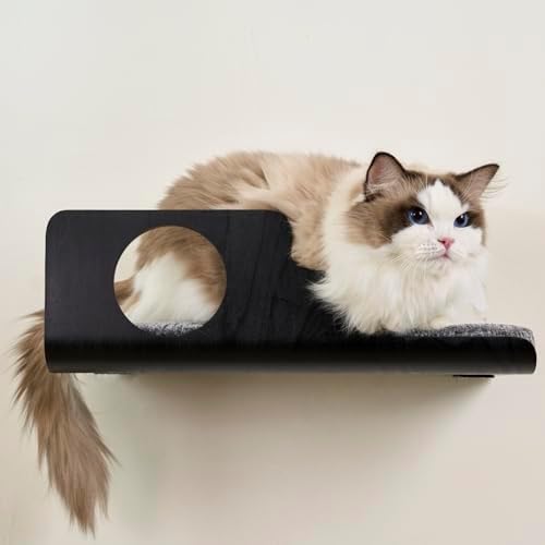 LIORCE Cat Wall Shelves, Creative Design Cat Shelf by LIORCE