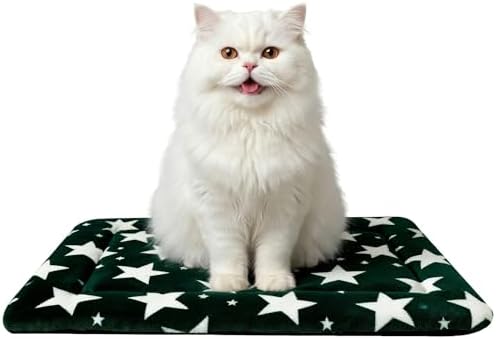 Cat & Dog Bed Mat by Unknown