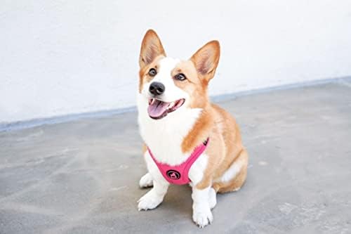 Gooby Escape Free Sport Dog Harness, Choke-Free - Image 6