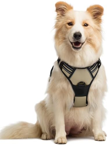 rabbitgoo Dog Harness, No Pull Medium Sized by rabbitgoo