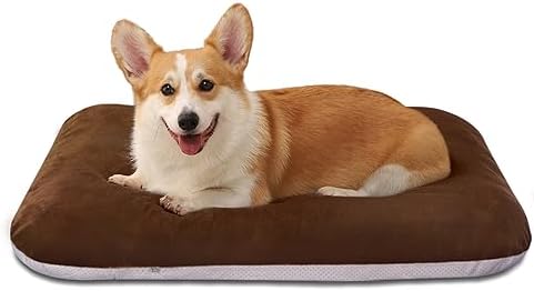 Magic Dog Orthopedic Medium Dog Bed 32 Inch, Super Soft Small Pet Bed by MagicDog