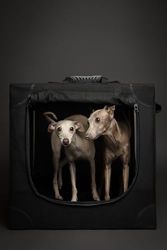Noah & Paw Collapsible Dog Crate - Image 4