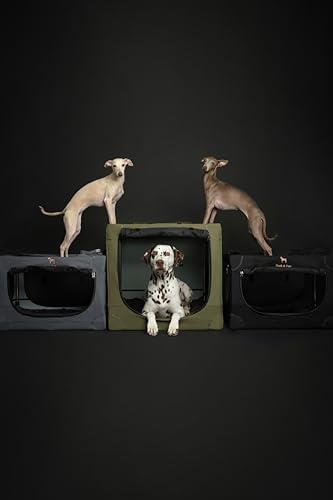 Noah & Paw Collapsible Dog Crate, 26 in Soft Medium Dog Crate, 900D Oxford - Image 4