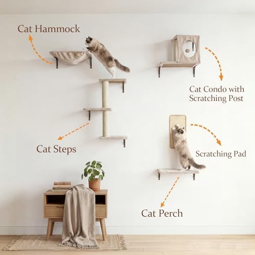 Cat Wall Shelves, Cat Wall Mounted Furniture, Climbing Wall Systems - Image 2