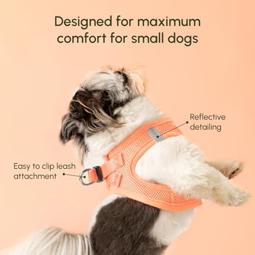 Downtown Pet Supply Pastel Tangerine X-Small Step-In Harness - Image 3
