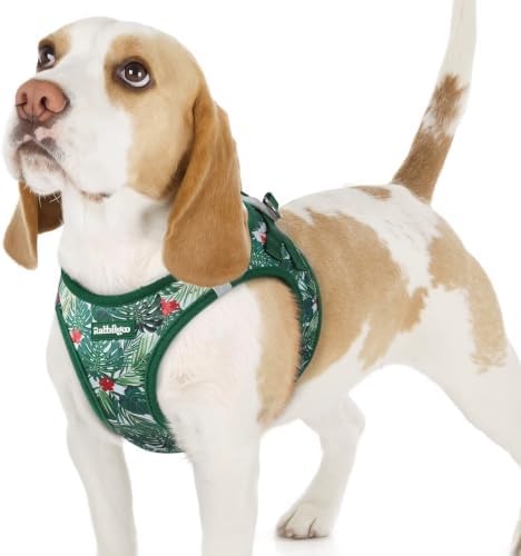 rabbitgoo Step-in Small Dog Harness, Puppy Vest by rabbitgoo