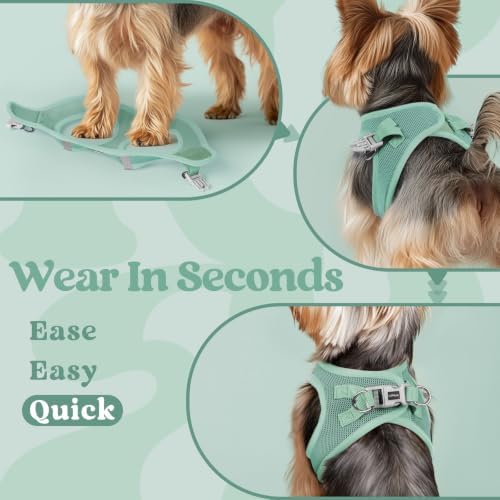 rabbitgoo Step-in Small Dog Harness, Puppy Vest - Image 5