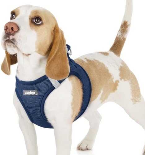 rabbitgoo Step-in Small Dog Harness, Puppy Vest by rabbitgoo
