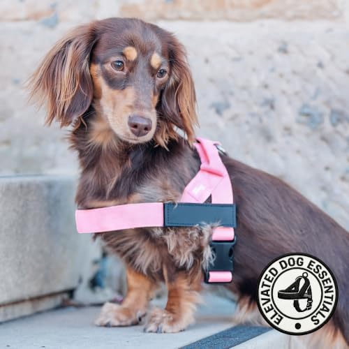 Dog Friendly Co. Dog Harness for Large Dogs - Image 5