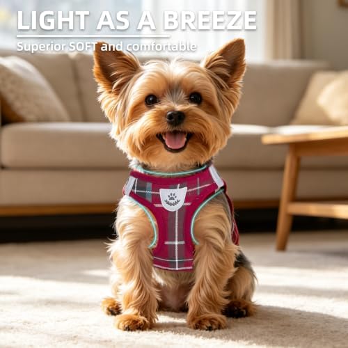 PUPTECK Dog Harness, Collar and Leash Set No Pull - Image 3