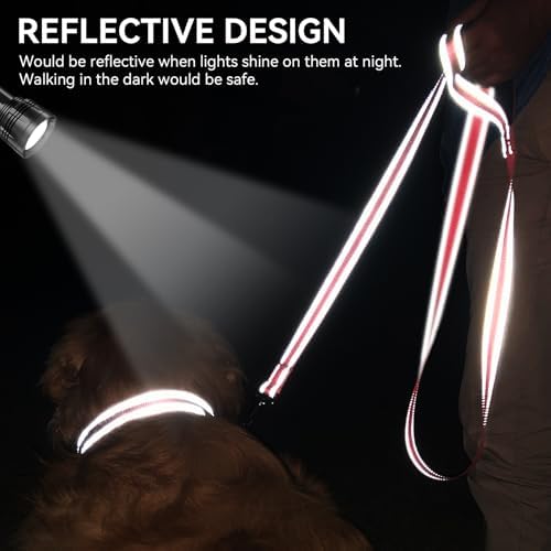 Joytale Reflective Dog Leash for Small Dogs, 5 FT x 3/4", Neon Pink - Image 4