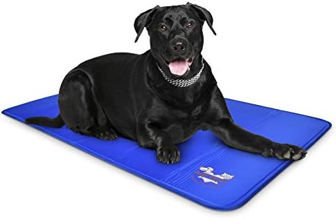 Arf Pets Dog Cooling Mat by ArfPets
