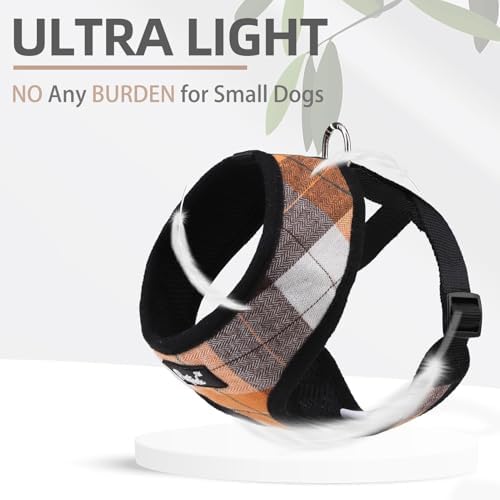 PUPTECK Small Dog Harness and Leash Set No Pull - Image 5