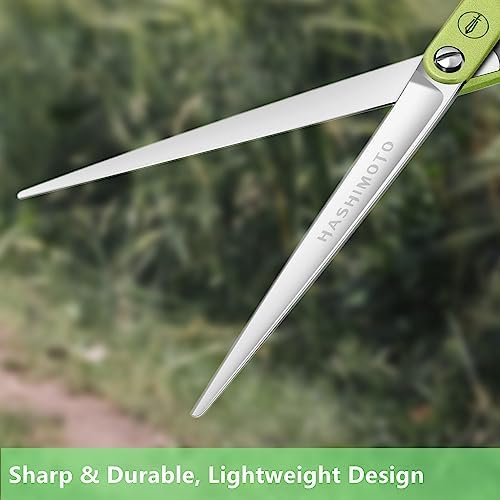 HASHIMOTO Ultralight Dog Cutting Scissors - Image 3