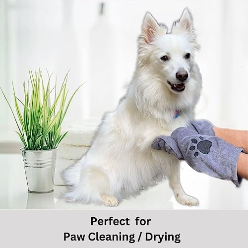 Penny & Niko Microfiber Pet Towel Mitts - Image 5