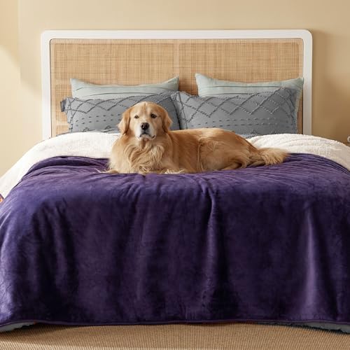 Bedsure Waterproof Blanket for Bed Soft Sherpa Fleece Throw, Queen 90x86 by BEDSURE