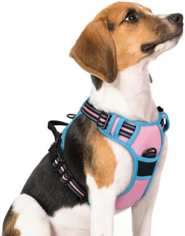 rabbitgoo Dog Harness, No Pull Medium Sized by rabbitgoo
