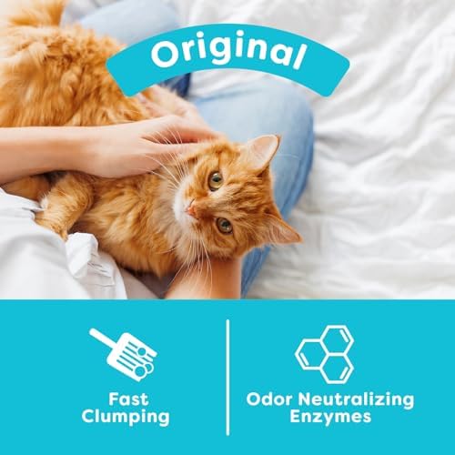 sWheat Scoop Natural Wheat Cat Litter, Fast Clumping - Image 4