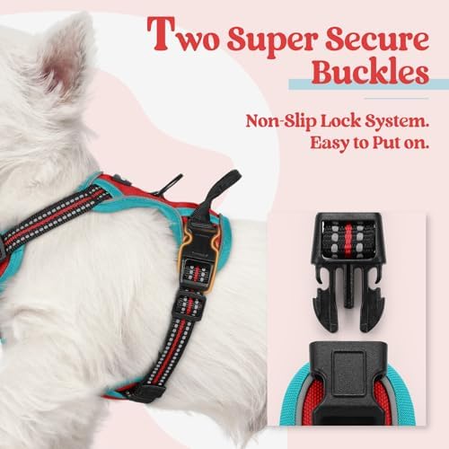 rabbitgoo Dog Harness, No Pull for Small Dogs - Image 3
