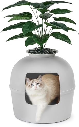 Secret Litter Box by Bundle & Bliss by SecretLitterBox