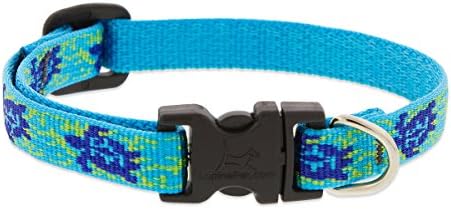 LupinePet Originals 1/2" Turtle Reef 6-9" Adjustable Collar by LupinePet