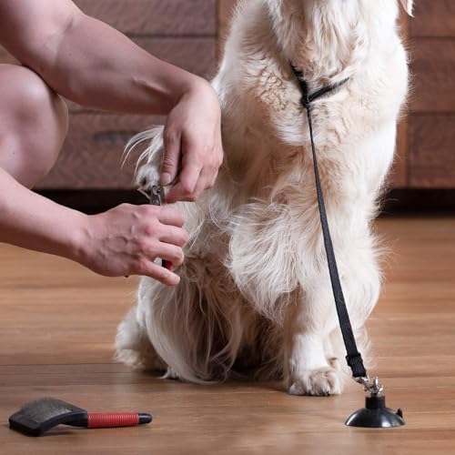 AYNEFY Dog Bath Tether Suction Cup, Pet Bathing Grooming Shower Restraint - Image 3