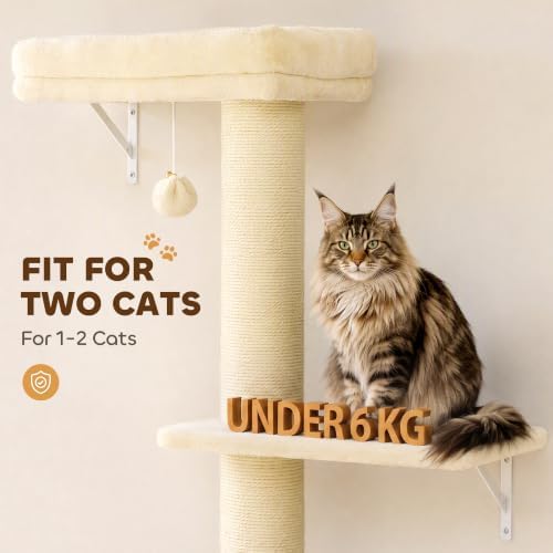 PawHut Cat Wall Shelves for Indoor Kittens Climbing Sleeping - Image 7