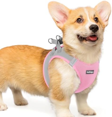 rabbitgoo Step-in Small Dog Harness, Puppy Vest by rabbitgoo