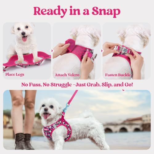 rabbitgoo Dog Harness Medium Sized and Leash Set, Step-in Puppy Pet Vest - Image 5