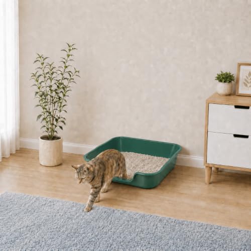 Extra Large Low Entry ABS Cat Litter Box, 1 Pack - Image 4