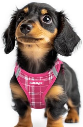rabbitgoo Step-in Small Dog Harness, Puppy Vest by rabbitgoo