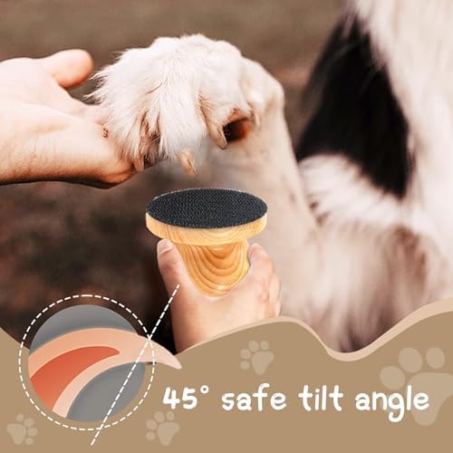 DAUNZMR Dog Nail File with 4 Pcs Replaceable Sandpaper, Nail Grinder Board - Image 3