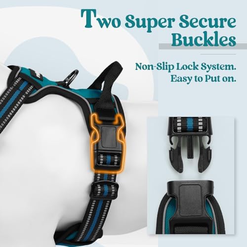 rabbitgoo Dog Harness, No Pull Medium Sized - Image 3