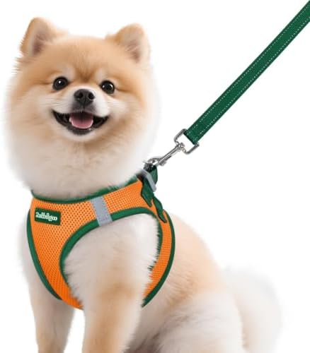 rabbitgoo Dog Harness Small Sized and Leash Set, Step in Soft Vest by rabbitgoo