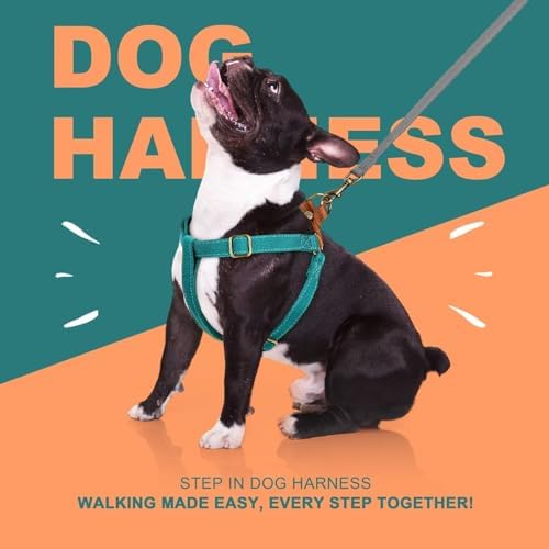 Didog Step in Dog Harnes for Medium Dogs, Chest 19-28" - Image 5