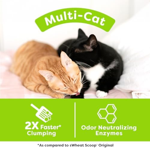 sWheat Scoop Natural Wheat Multi-Cat Litter, Superior Clumping - Image 4